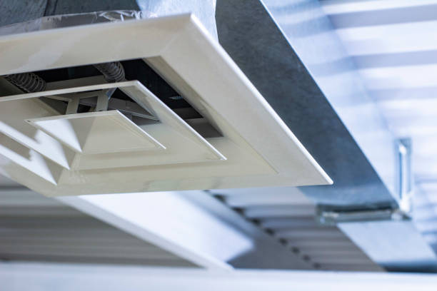 Best Emergency Air Duct Cleaning  in Century, FL