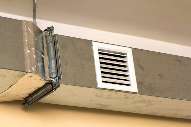 Best Local Air Duct Cleaning Services  in Century, FL